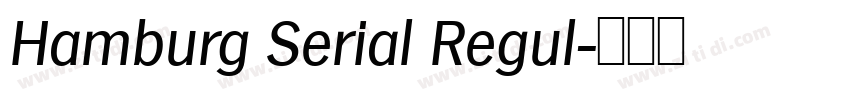 Hamburg Serial Regul字体转换